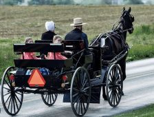 HORSE-DRAWN VEHICLES ON RAINSVILLE ROADWAYS