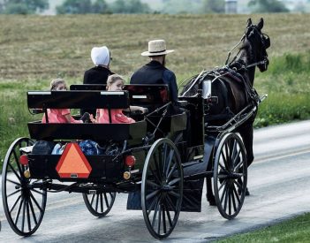 HORSE-DRAWN VEHICLES ON RAINSVILLE ROADWAYS