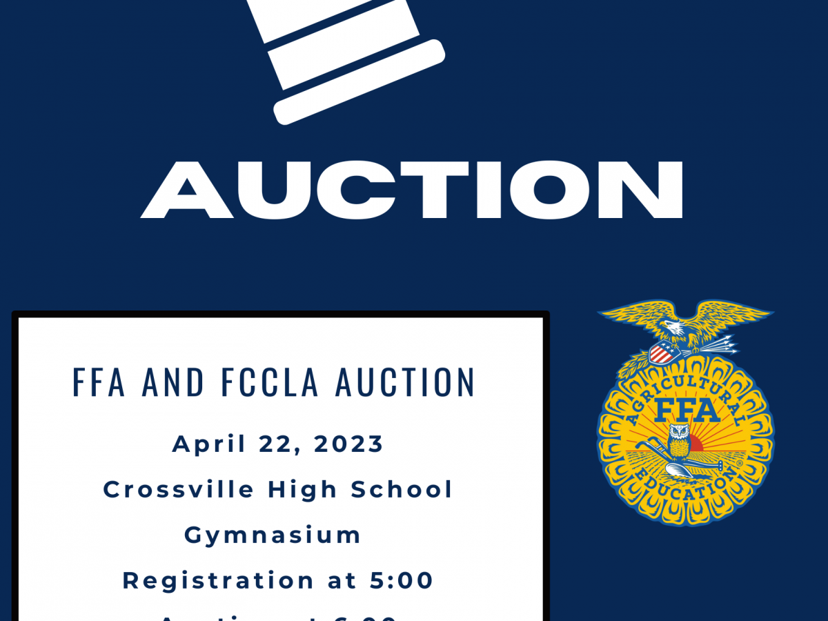 AUCTION TO BENEFIT CROSSVILLE PROGRAMS