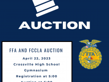 AUCTION TO BENEFIT CROSSVILLE PROGRAMS