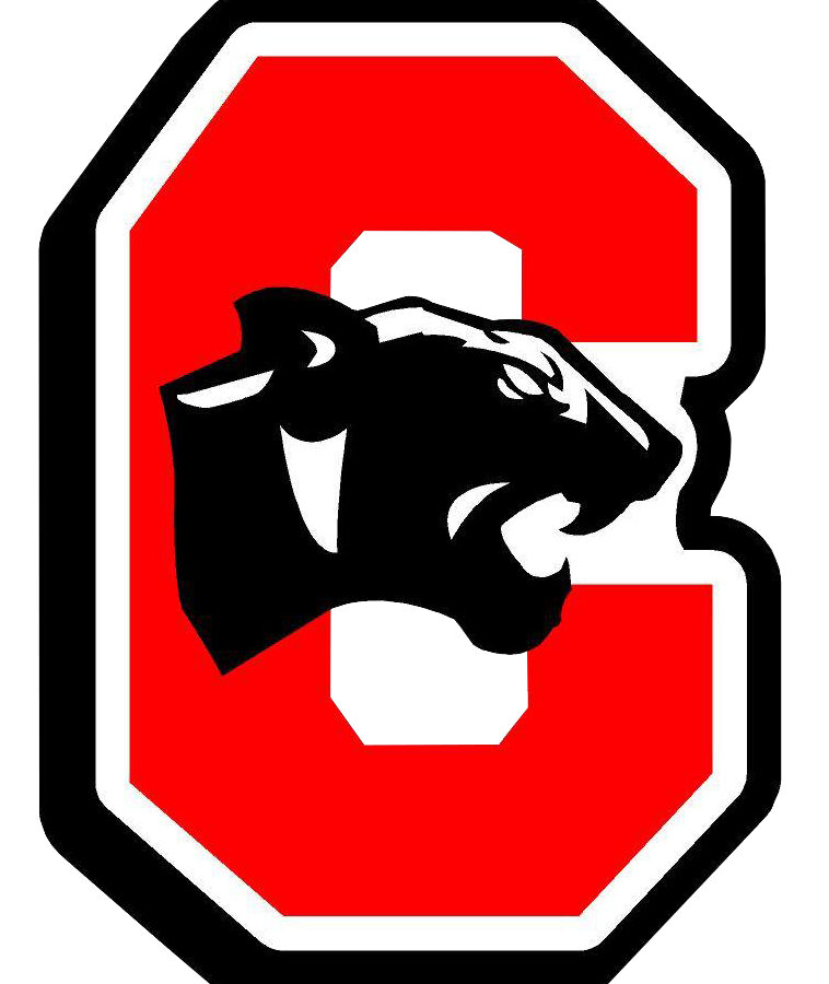 Collinsville Varsity Boys must forfeit area wins