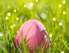 Try a new underwater Easter egg hunt