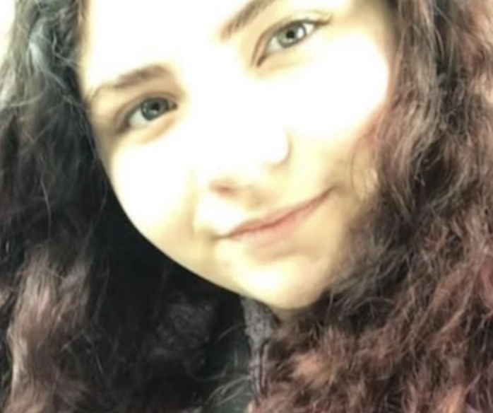 Etowah County Sheriff's Office seeking help in search for missing teen