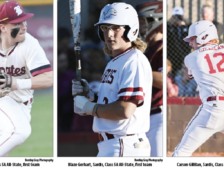 2024 ASWA All-State Baseball Team