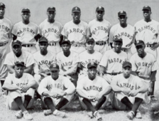 Negro Leagues History Vital to Alabama