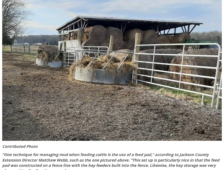 Managing mud for the benefit of livestock