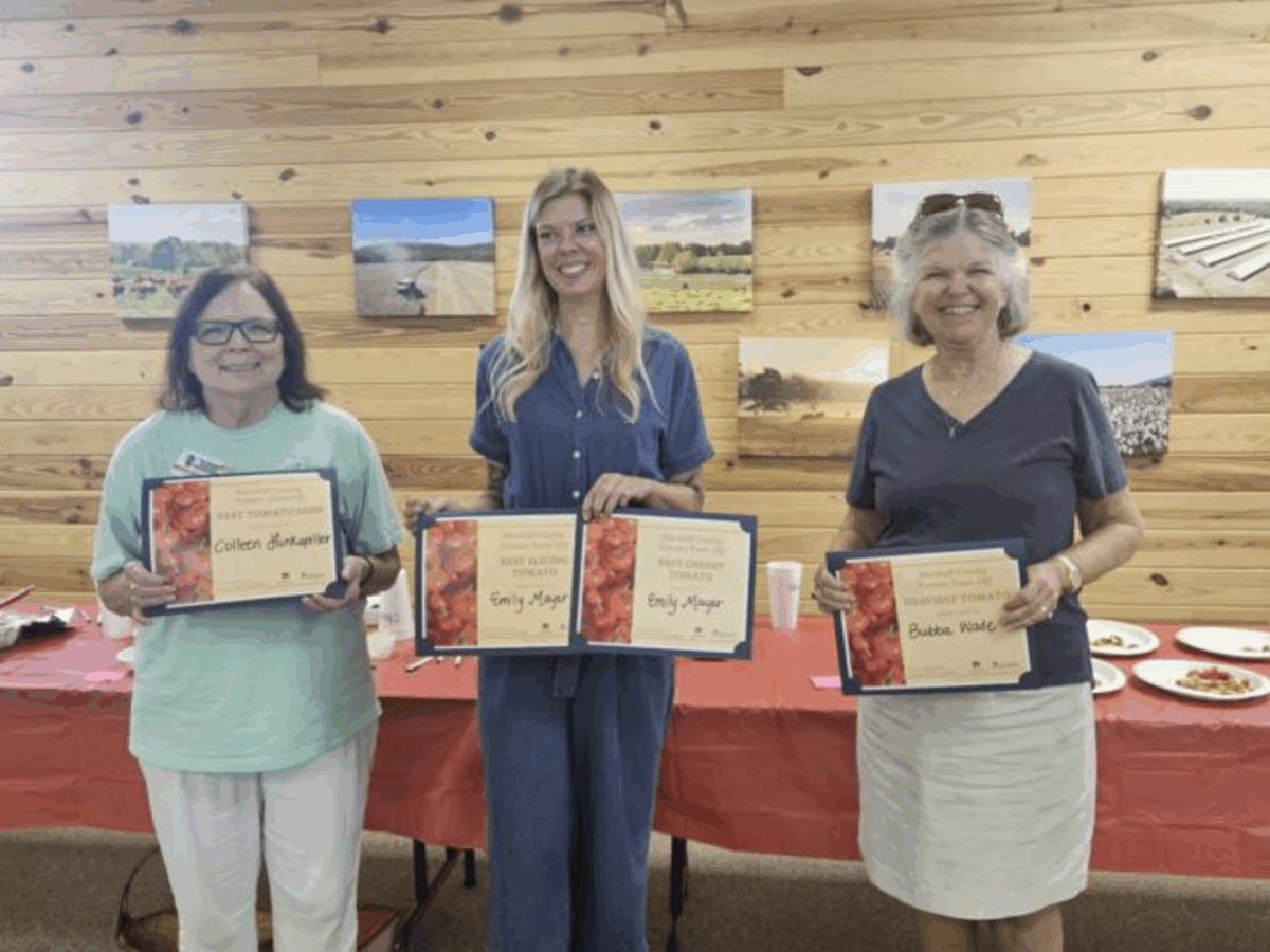 Tomato Taste-Off a late summer hit
