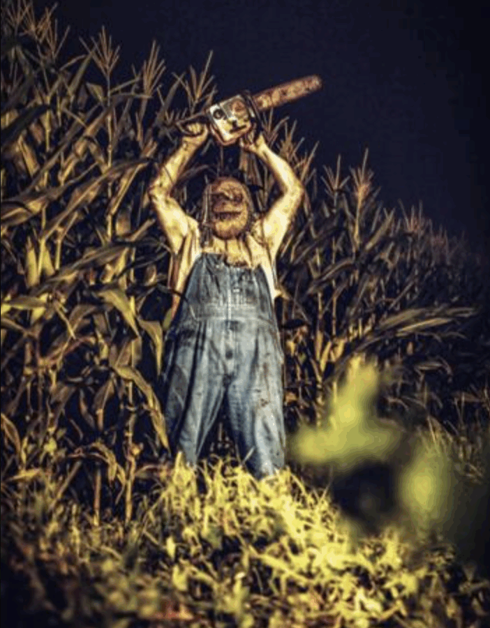 Albertville native wants to be “Face of Halloween”