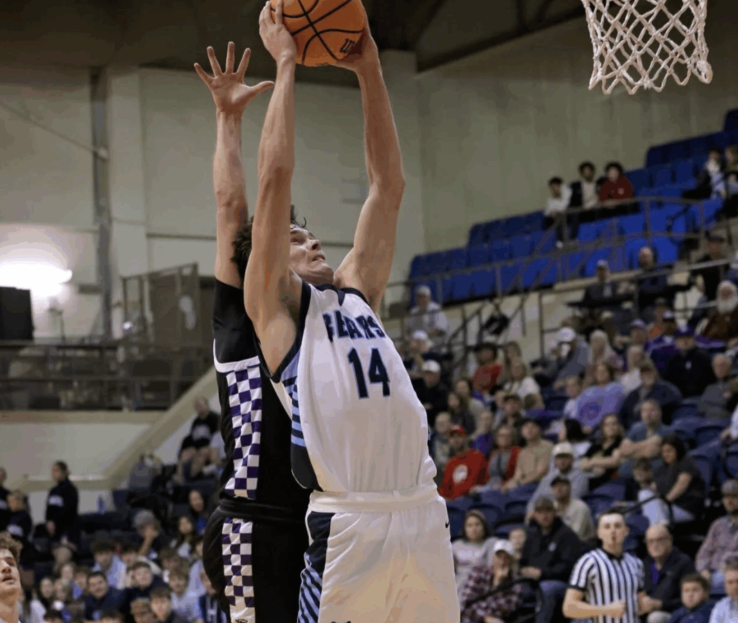 Bears advance to SMT title game